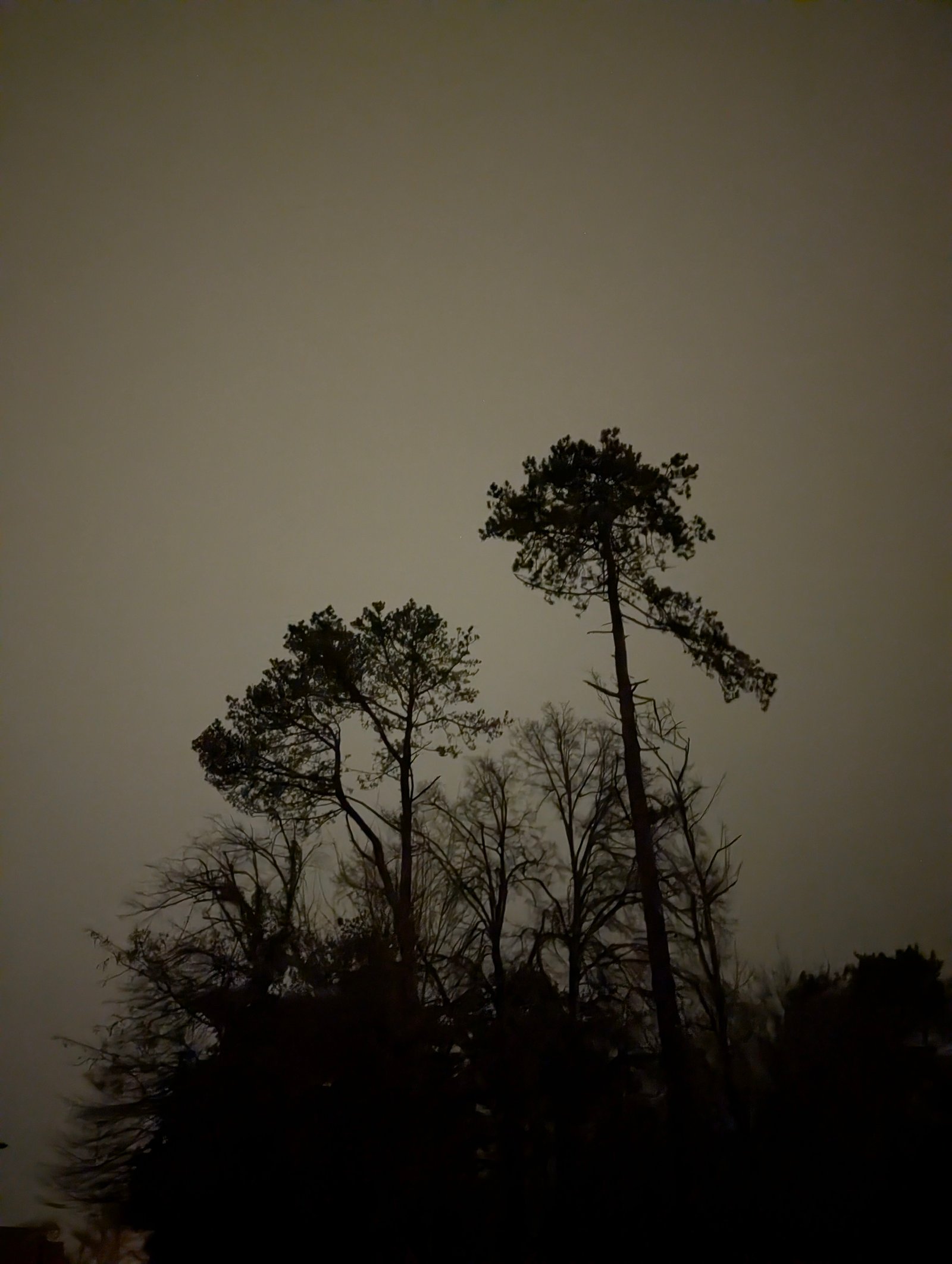 Paysages 
